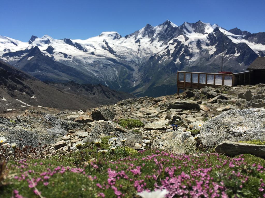 Chalet Alpentraum, Alte Gasse 20 ザース・グルント エクステリア 写真